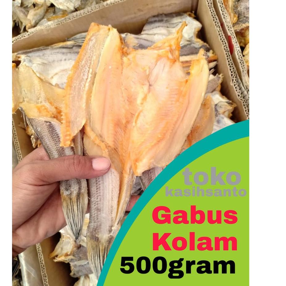 

➽ ikan asin gabus ,kolam-500gram ➲