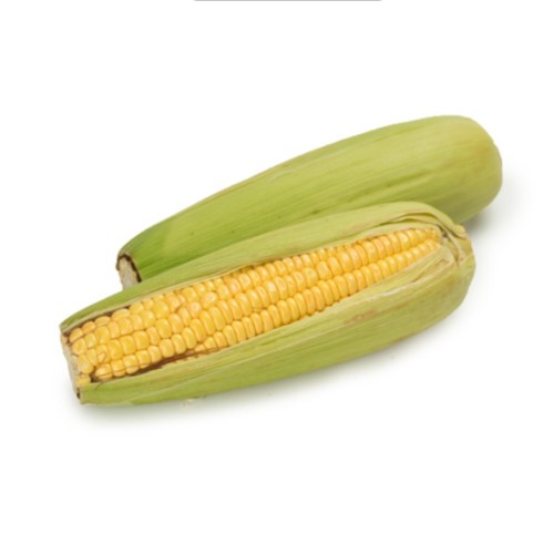 JAGUNG KUALITAS PREMIUM (KHUSUS SAMEDAY DAN INSTAN)
