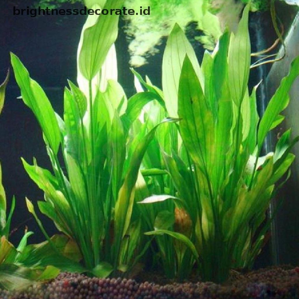 [Birth] Rumput Tanaman Air Buatan Plastik Hijau Tinggi 15cm Untuk Aquarium [ID]