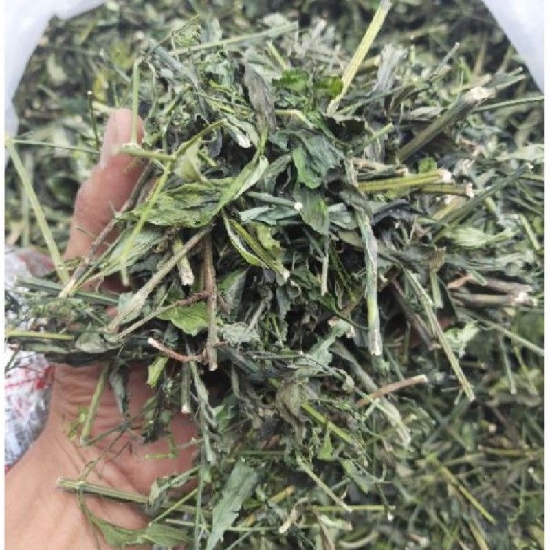 

Sambiroto Cacah Kering 100 gram Sambiloto Herbal