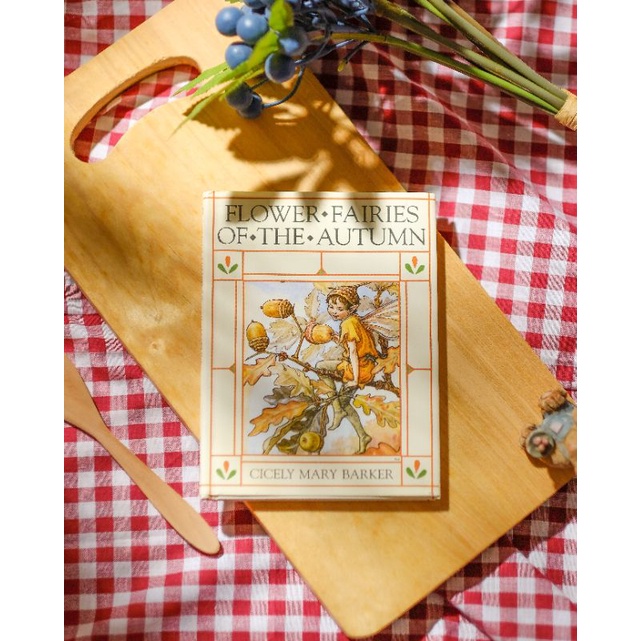 Flower Fairies of the Autumn | Cicely Mary Barker