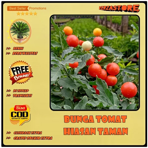 biji benih lombok cabe tomat hias bulat unik /10 biji