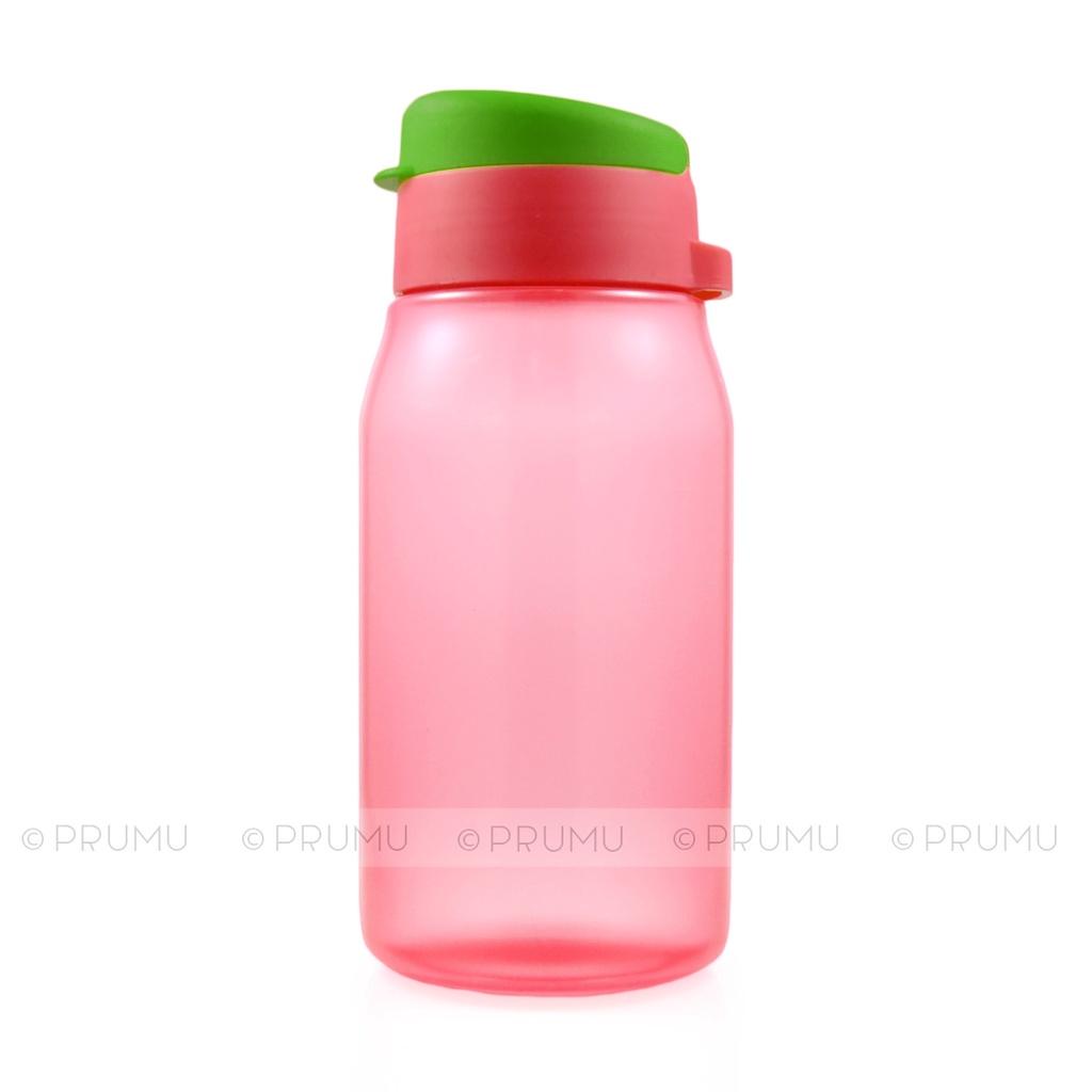 GROSIR Botol Minum 500 ml - Botol Minum Anak - Souvenir Ulang Tahun - Evo Cool 500ml