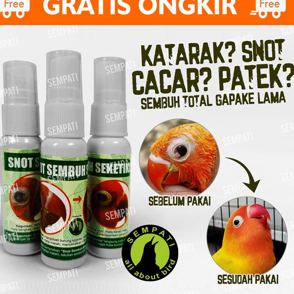 >V44859) SNOT SEMBUH SEKETIKA MEREK SEMPATI OBAT SAKIT MATA KATARAK BENGKAK BERAIR BURUNG MURAI LOVE