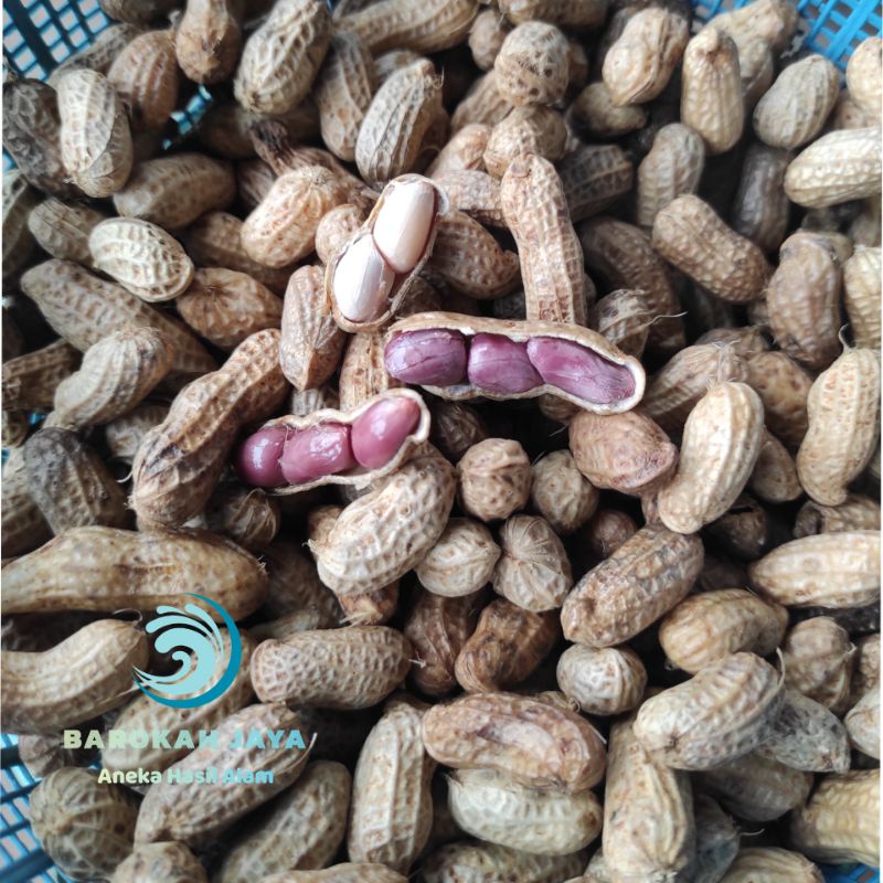 

Kacang tanah mentah / kacang rebus mentah / 1 kg