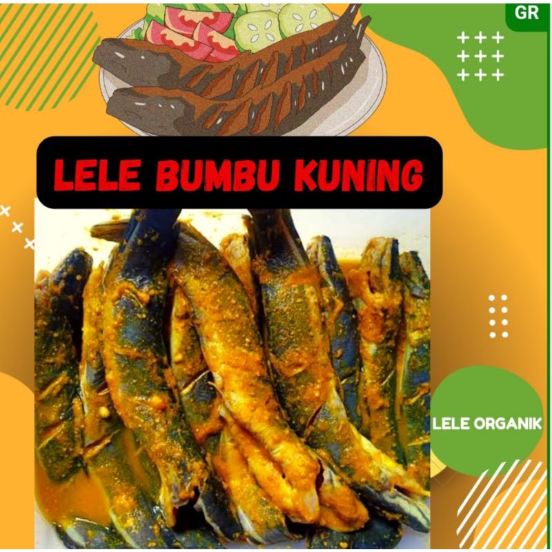 LELE ORGANIK BUMBU KUNING 1 KG (ISI 8 - 10) BONUS TEMPE UNGKEP KUNING 10 BH