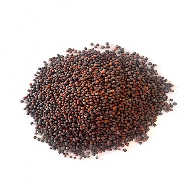 

Silahkan Order] Black Mustard Seed 1Kg / Biji Sawi Hitam Import / Rai Seeds