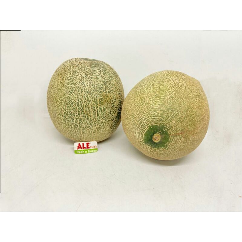 

Melon sky rocket fresh, melon super, buah melon sky rocket