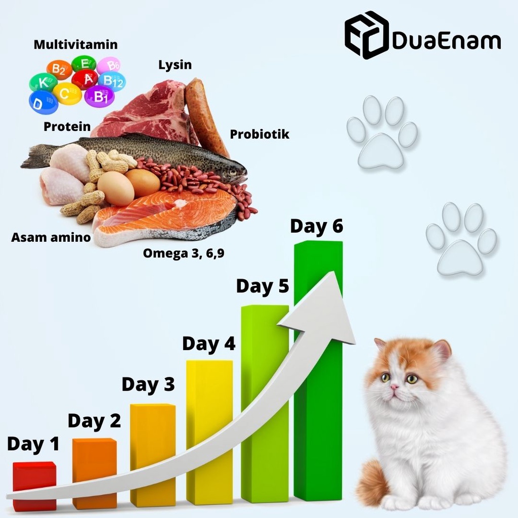 DUAENAM PAKET ANTI VIRUS KUCING DAN PENINGKAT NAFSU MAKAN KUCING DEMAM LEMAS BAU MULUT BERAK DARAH UNTUK KUCING