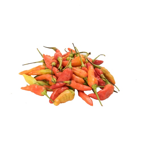 

Cabe Rawit Merah - Chili