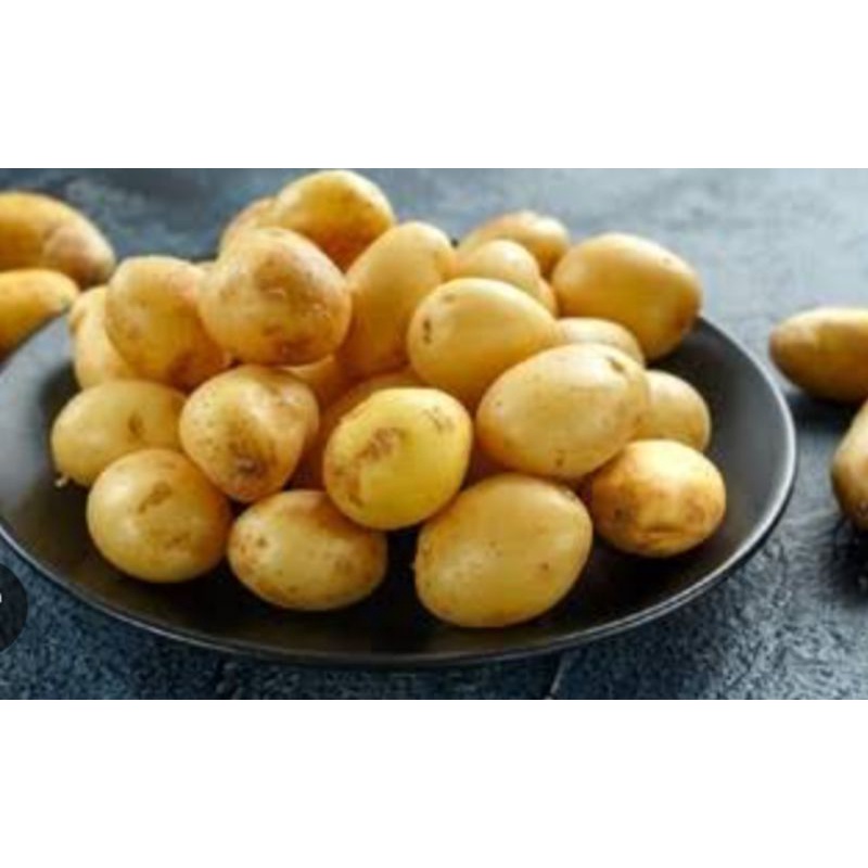 

kentang segar kualitas super sayur segar