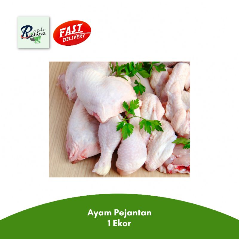 

Ayam Pejantan Segar 1 Ekor