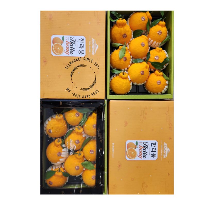 

Jeruk jeju orange Mandarin korea super manis | 1 box(berat 3 kg)