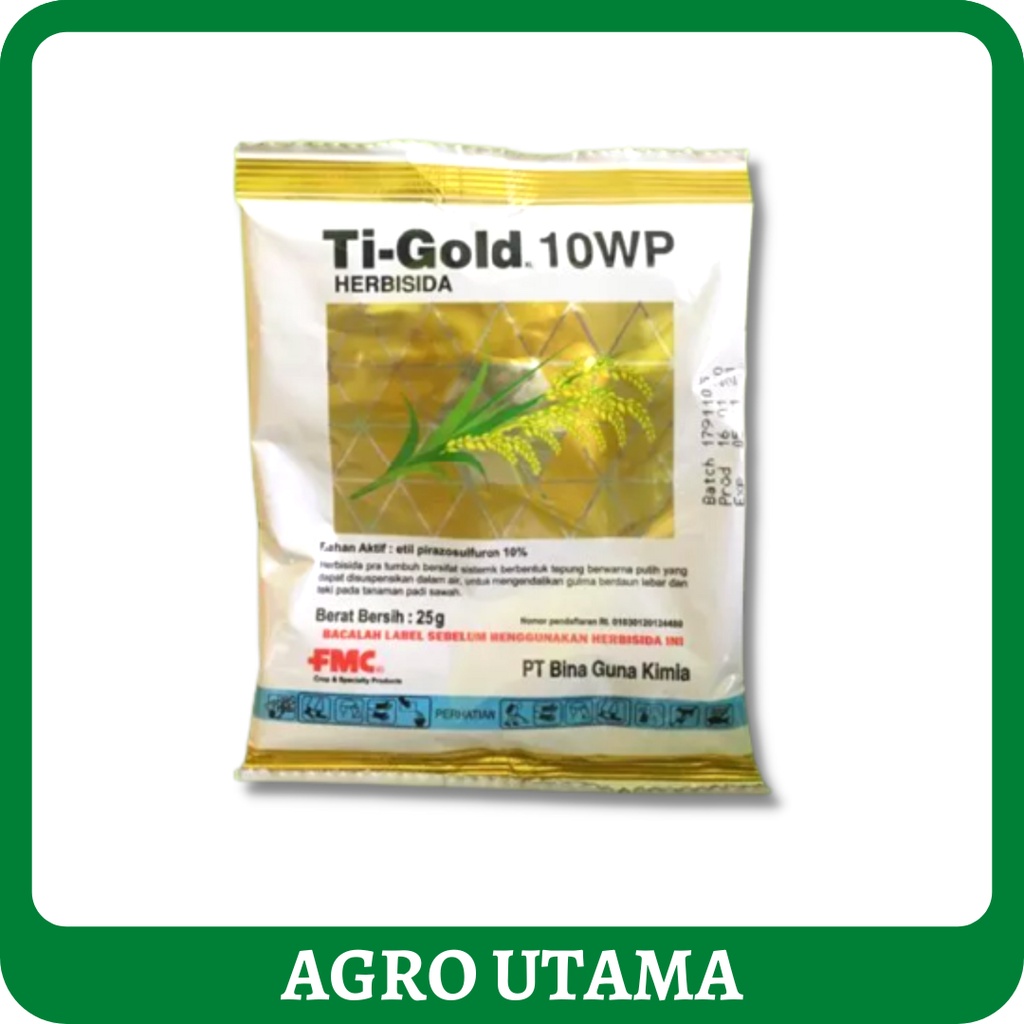 Ti-Gold XL 10WP - 25Gr