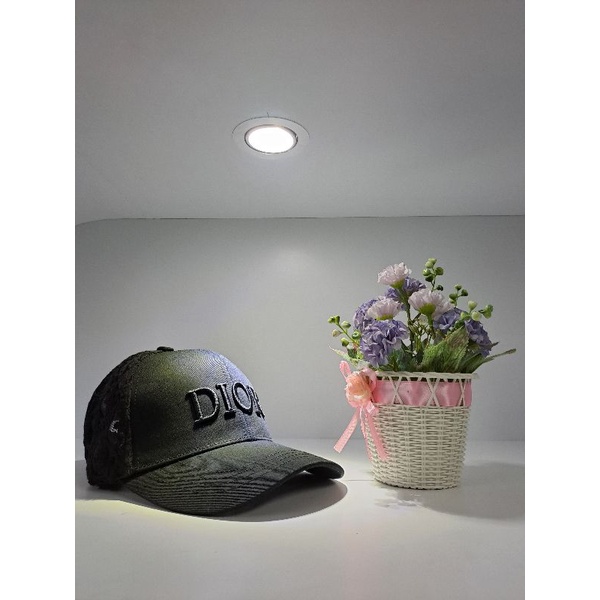 Topi Dior