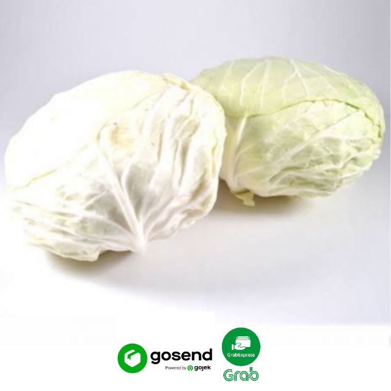 

Kubis Segar 500 Gram