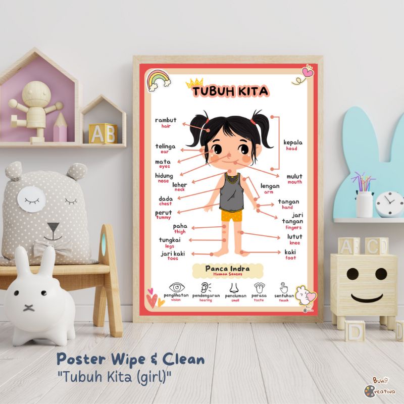 

Poster Edukasi Anak Wipe Clean - Poster TK PAUD - Poster Tubuh Kita, Poster Bagian Tubuh