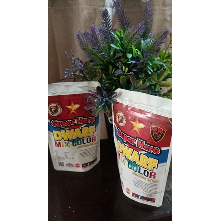 Pelet channa dwarf mix color