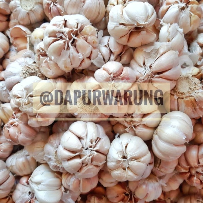 

Bawang Putih (harga untuk perkilogram) Promo!