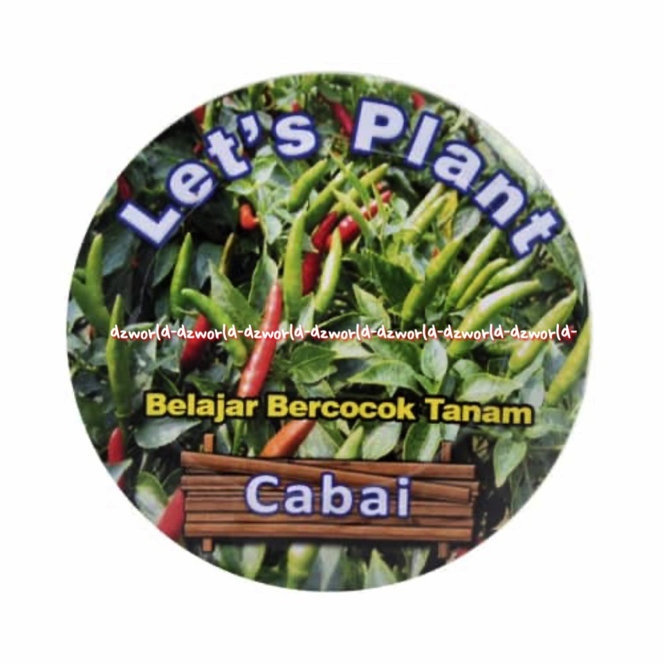 Let's Plant Sun Flower Seledri Cabai Merah Keriting Bayam Merah Belajar Bercocok Tanam Tanaman Benih Di Pot Sunflower Lets Plants