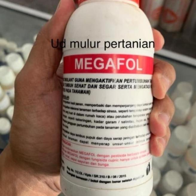 penahan virus peningkat sistem imun VALAGRO MEGAFOL 250ml Qink