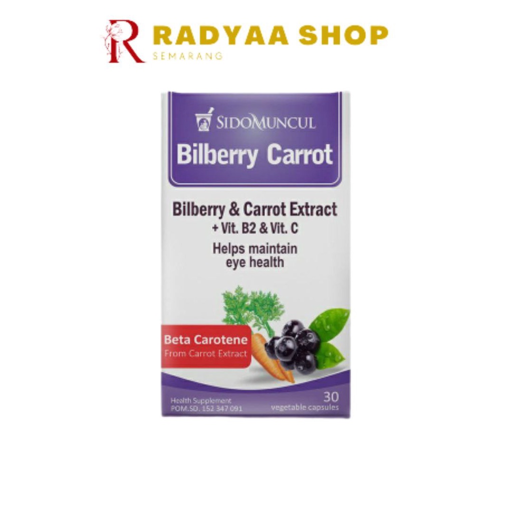 Vitamin Mata Bilberry Carrot Sido Muncul
