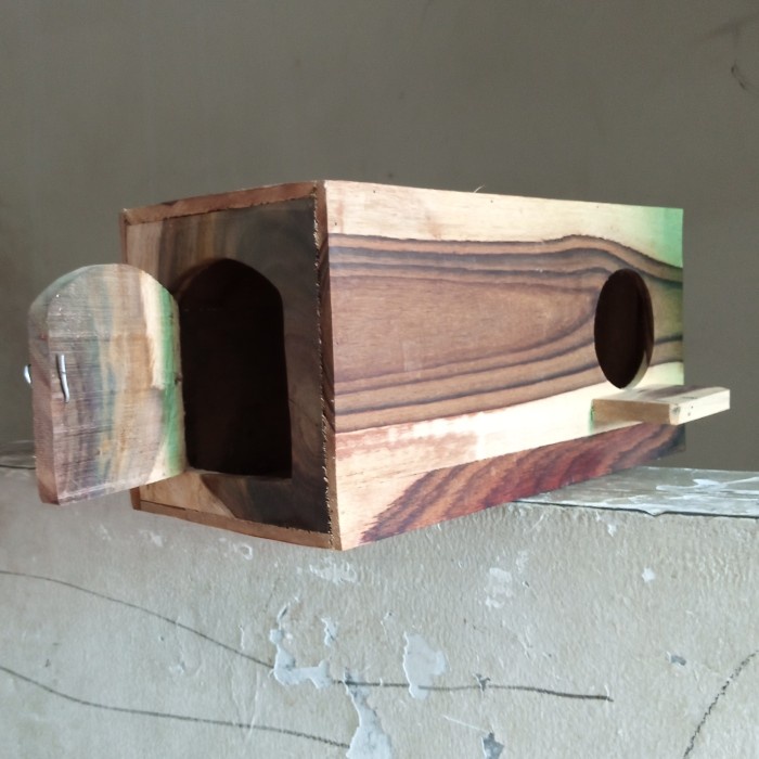 Kandang Burung Glodok Burung Falk Sunconure