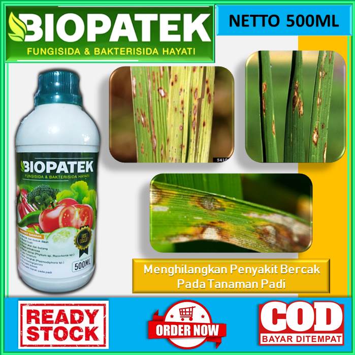 OBAT BERCAK DAUN PADI - ampuh mengatasi penyakit bercak pada tanaman padi [BIOPATEK 500mL] obat cair