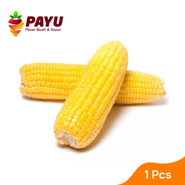 

PAYUFRESH | Jagung Manis Kupas [500g]