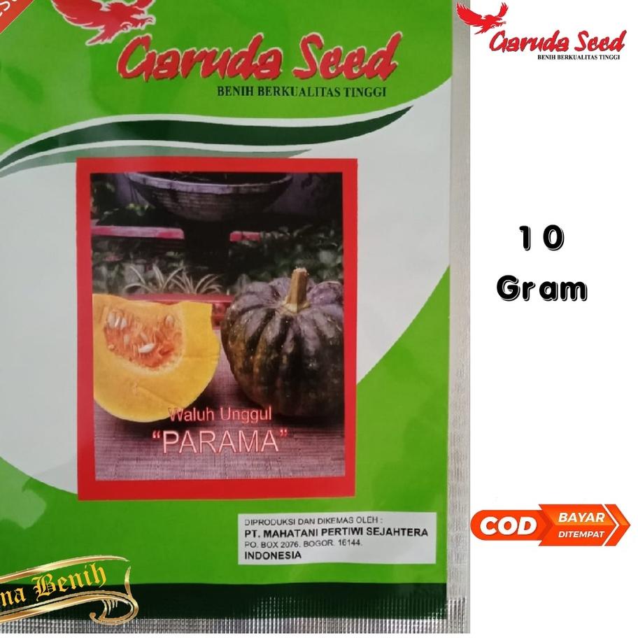 Depan Bibit Waluh PARAMA Isi 10 Gram Benih Waluh Bibit Labu Benih Labu