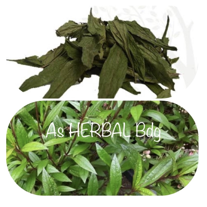 

Daun prasman kering natural 200 gram-az