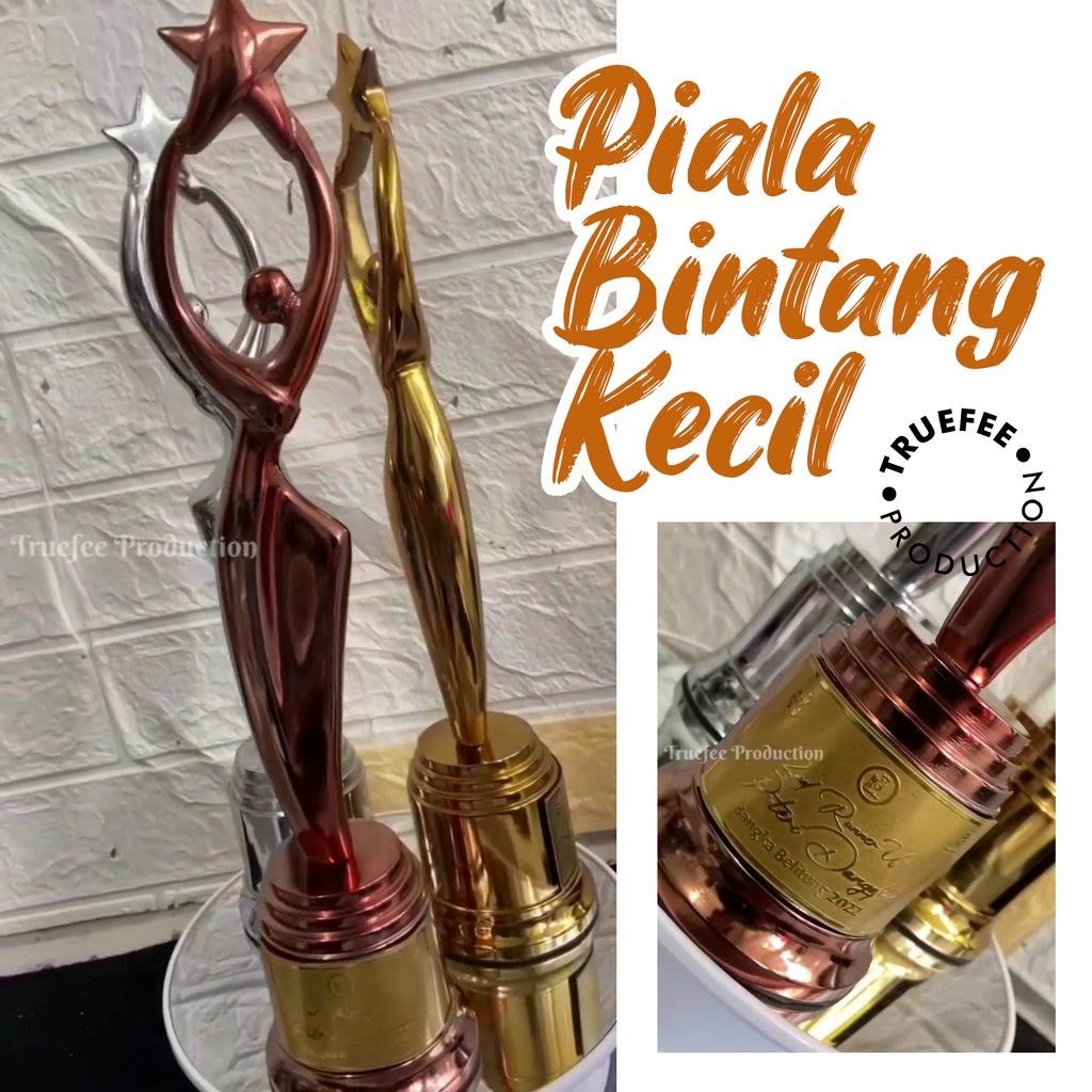 Jual Piala Logam Alumunium Bintang Kecil Unik Artistik Shopee Indonesia 6868