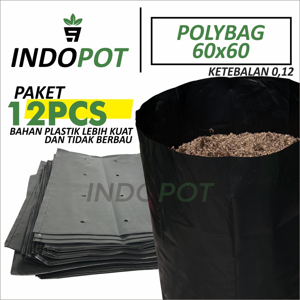 (12Pcs) Paket Polybag Jumbo Ukuran 60X60 Polibag Besar Ketebalan 0,12Mm