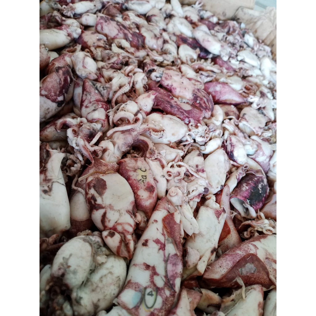 

[ DUSSAN ] Cumi Asin isi 10kg