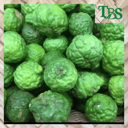 JERUK PURUT KUALITAS PREMIUM