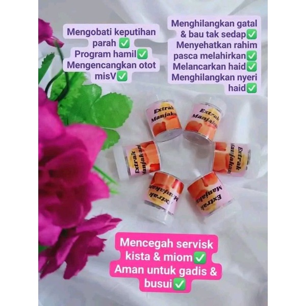 

Extrak Manjakani isi 30 butir