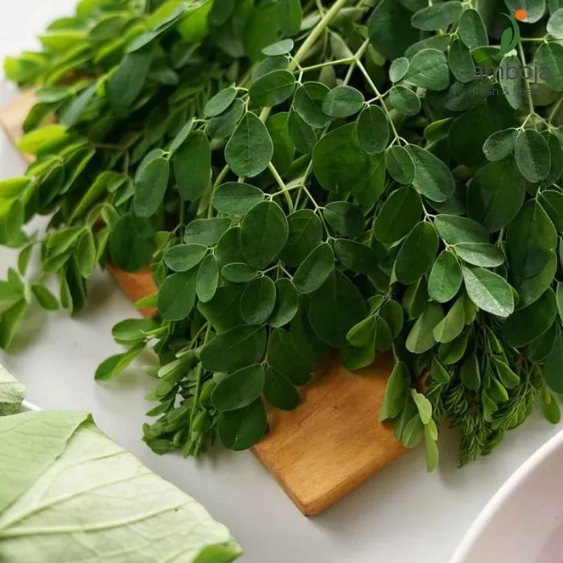 

Daun kelor segar