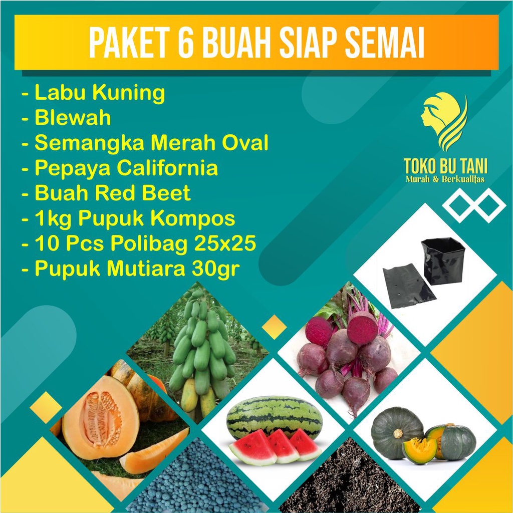 Paket 6 benih Buah Siap Semai Terjangkau