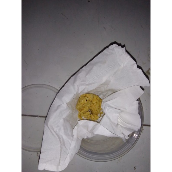 TELUR MAGGOT BSF BIBIT MURAH 5 GRAM