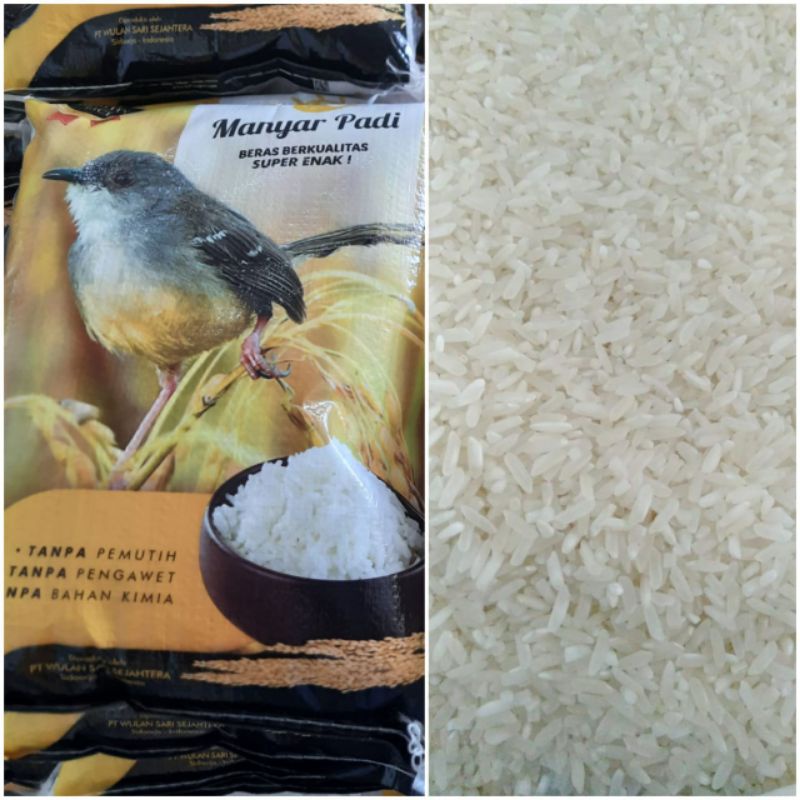 

Beras Manyar Padi 5 Kg