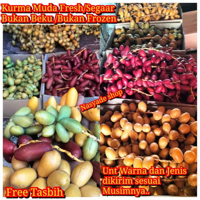 

250GR KURMA MUDA FRESH