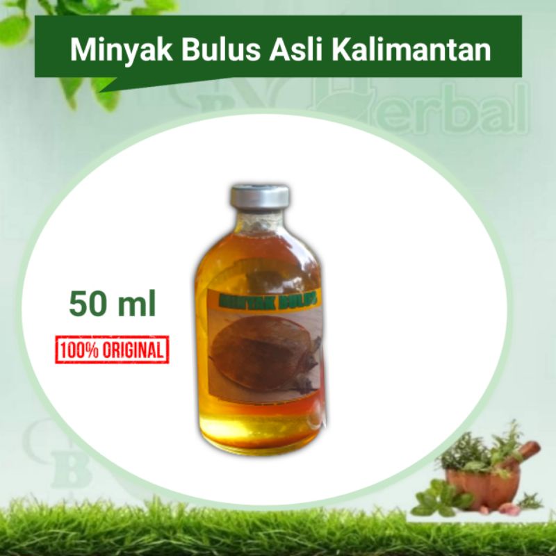 Minyak Bulus Borneo Asli Multi Khasiat 50ml