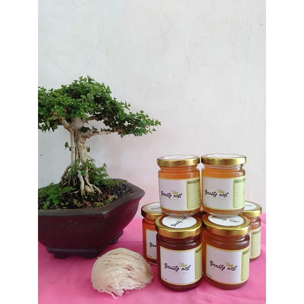 

RealFood Beauty/Nest Minuman Sarang Walet
