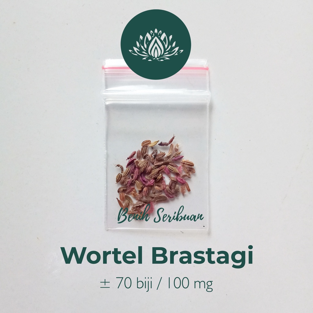 Benih Seribuan - 70 Bibit Sayuran Wortel Brastagi Medan Unggul