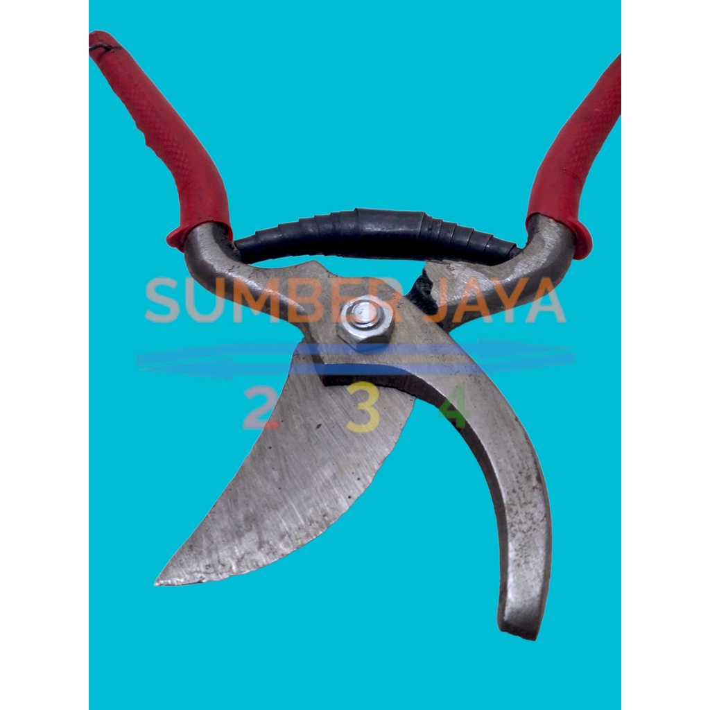 Gunting 8 Inch Taman Dahan Ranting Daun Pruning