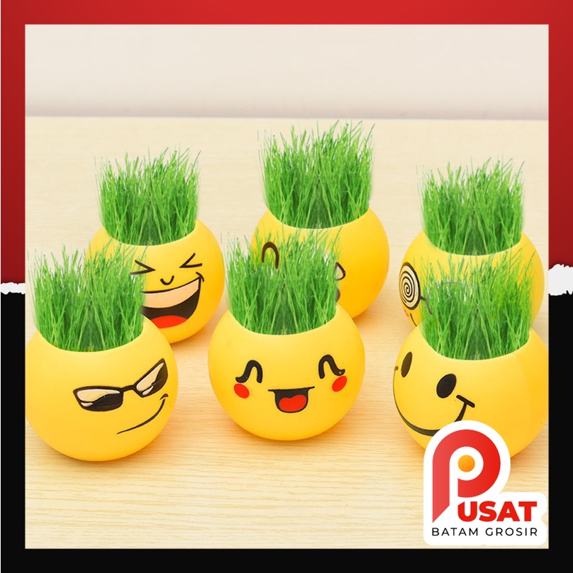 Pusat Batam Grosir - 8074 Pot Emoji Emoticon / Tanaman Hias Rumput Emoji / Vas Bunga Emoticon Emoji 