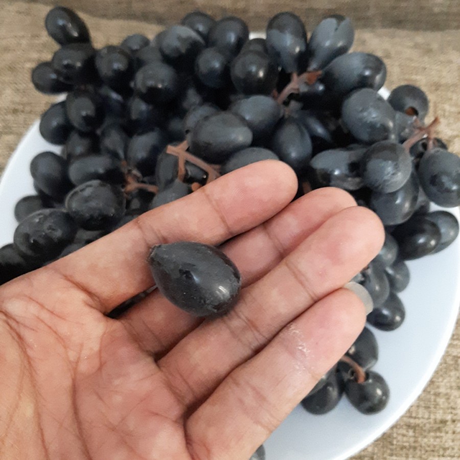 Buah anggur palsu imitasi hiasan meja etalase buah buatan karet tiruan grape artificial 1 butir