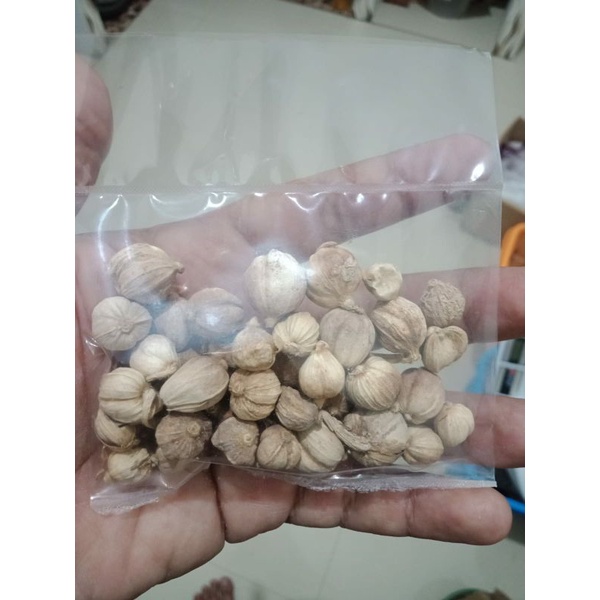 

Kapulaga kering kemasan 15gr