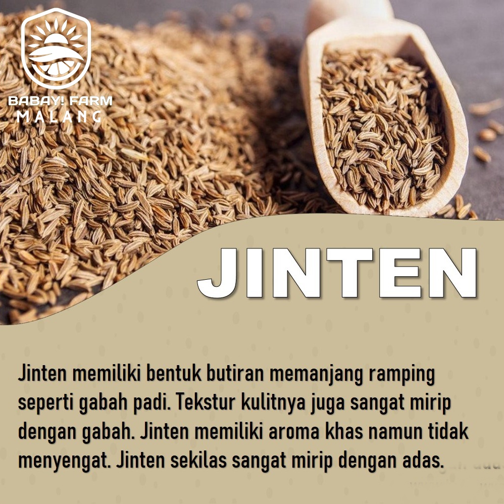 

Jinten 100 Gr