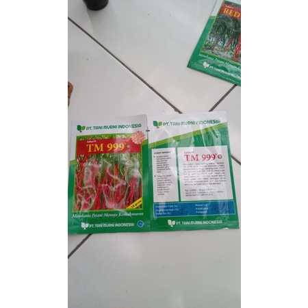 Benih Cabe Kriting TM 999